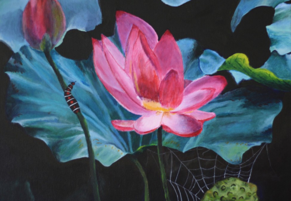 Lotuses